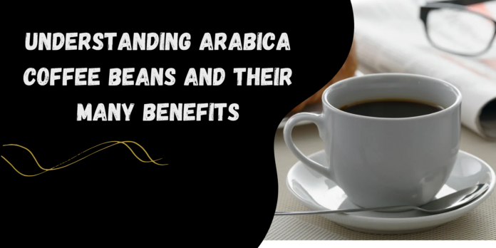 Understanding Arabica Coffee Beans and Their Many Benefits